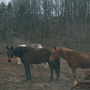 Meet your Posher, Mike